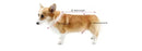 Summer Pet Dog Clothes Breathable Cooling Reflective Vest Small Medium Large Dog Puppy Cooling Quick Dry Summer Vest Pet Clothes