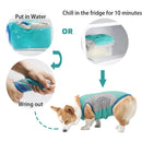 Summer Pet Dog Clothes Breathable Cooling Reflective Vest Small Medium Large Dog Puppy Cooling Quick Dry Summer Vest Pet Clothes