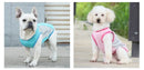Summer Pet Dog Clothes Breathable Cooling Reflective Vest Small Medium Large Dog Puppy Cooling Quick Dry Summer Vest Pet Clothes