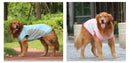 Summer Pet Dog Clothes Breathable Cooling Reflective Vest Small Medium Large Dog Puppy Cooling Quick Dry Summer Vest Pet Clothes