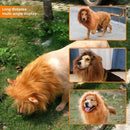 Cute Pet Dog Cosplay Clothes Lion Mane For Dog Costumes Realistic Lion Wig For Medium to Large Dogs With Ear Pet Accessories